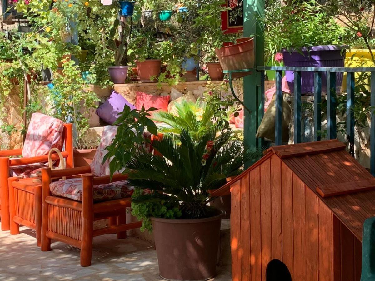 بيت الطبيعة Nature House Dzseras Kültér fotó