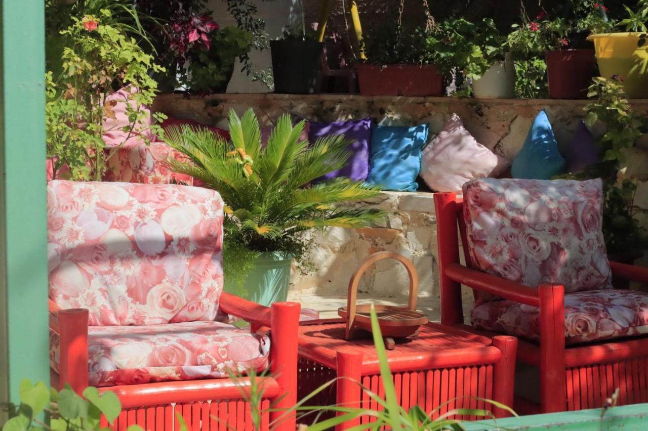 بيت الطبيعة Nature House Dzseras Kültér fotó