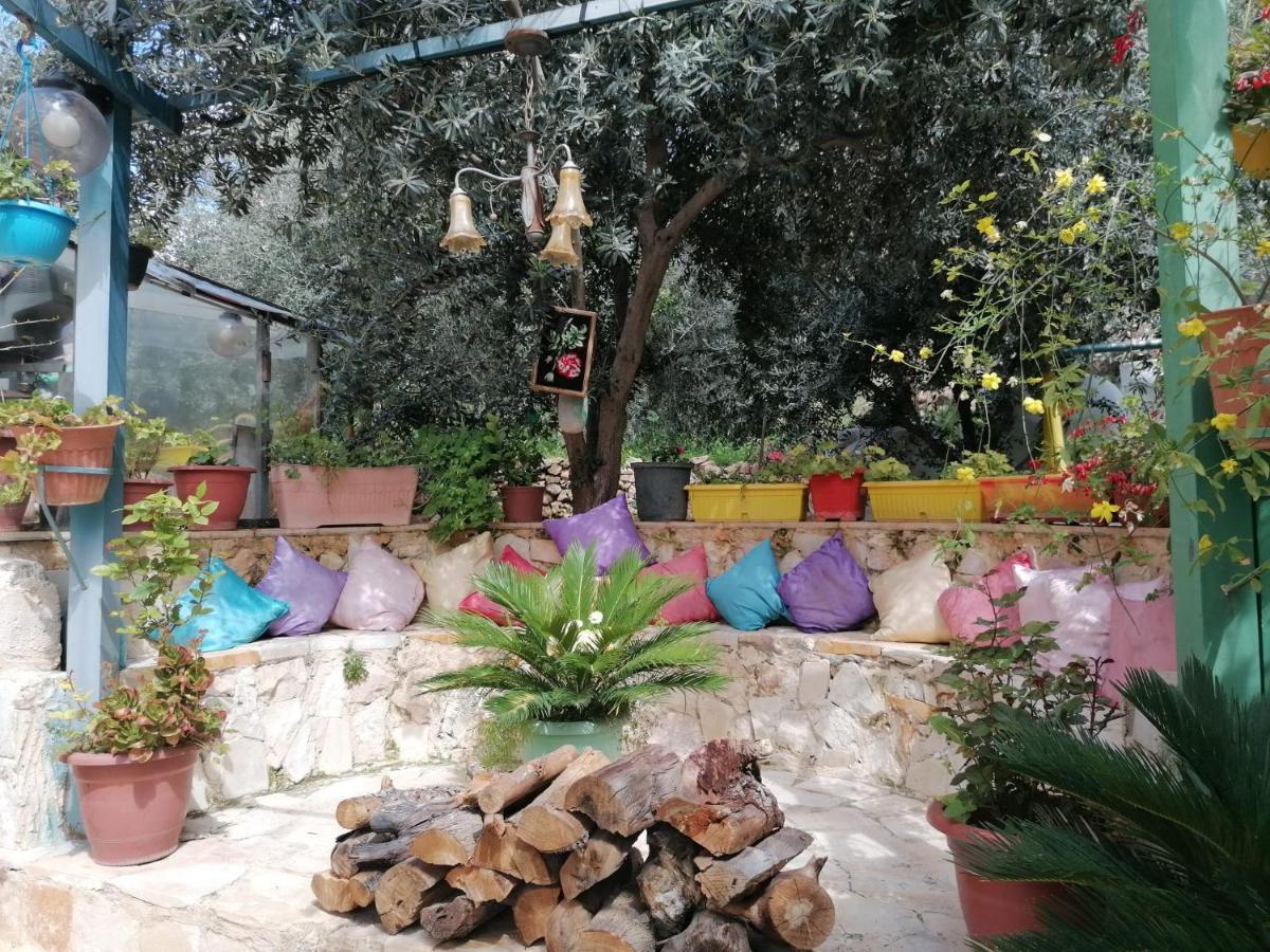 بيت الطبيعة Nature House Dzseras Kültér fotó