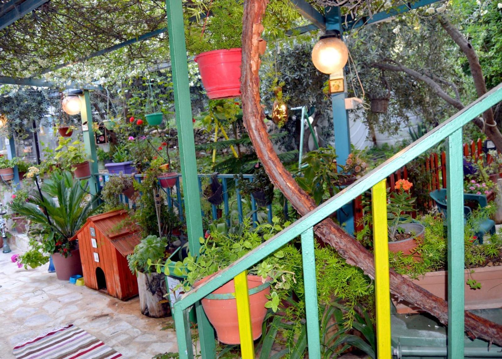 بيت الطبيعة Nature House Dzseras Szoba fotó