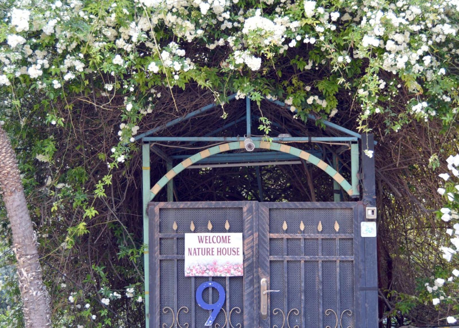بيت الطبيعة Nature House Dzseras Szoba fotó