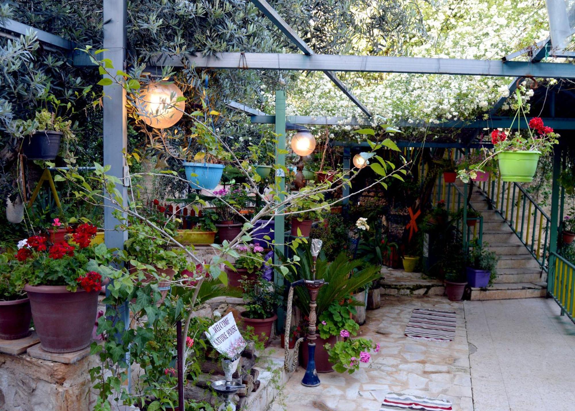 بيت الطبيعة Nature House Dzseras Kültér fotó